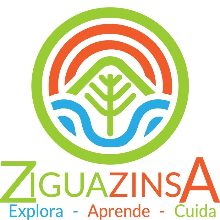Logotipo de Ziguazinsa